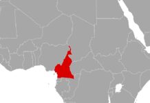 NRC: Kamerun ist am stärksten vernachlässigte Vertreibungskrise