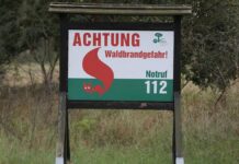 Feuerwehrverband will mehr Hubschrauber zur Waldbrandbekämpfung