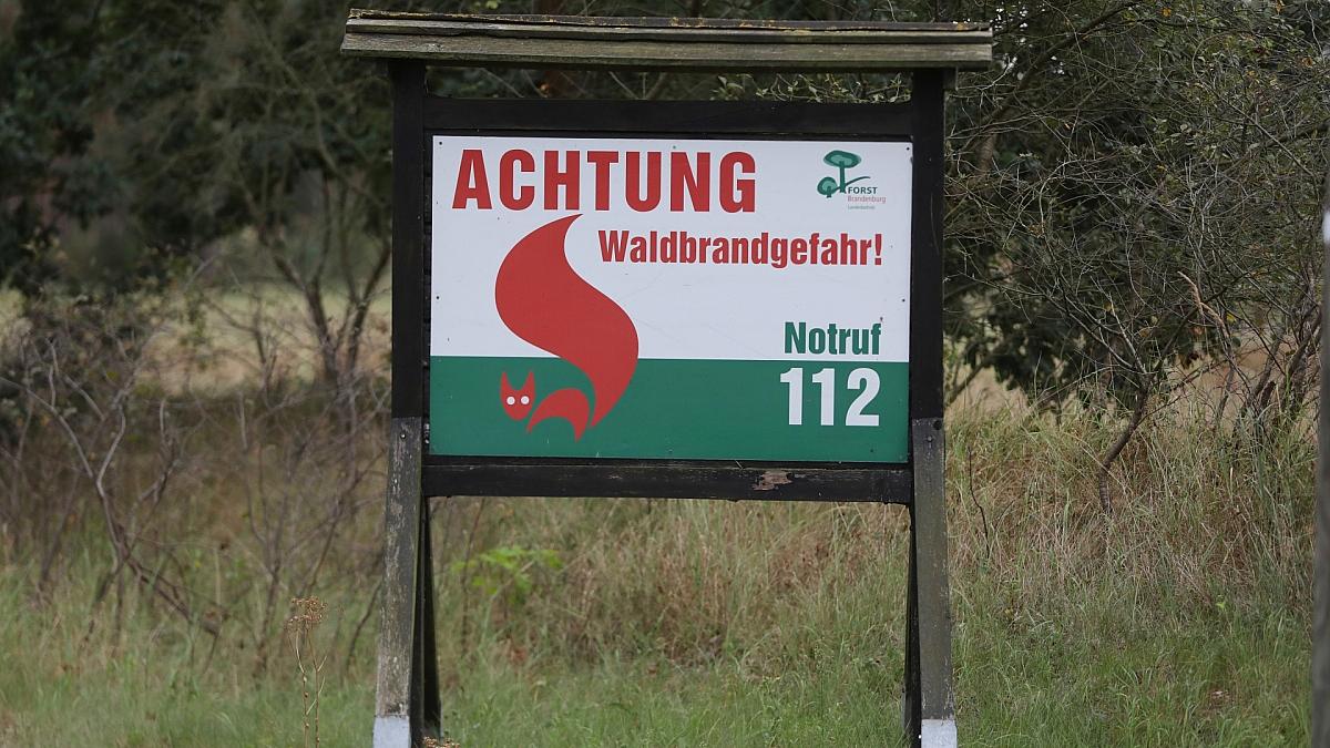 Feuerwehrverband will mehr Hubschrauber zur Waldbrandbekämpfung