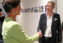 CDU: Zwischen BSW und AfD "wächst zusammen, was zusammengehört"