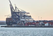 Grimm sieht Zoll-Deal als Beleg für die Schwäche Europas