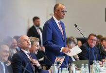 Verfassungsrechtler rät Unionsfraktion zu Wahl von Brosius-Gersdorf