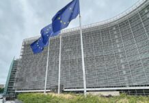 Bundesregierung will EU-weites PFAS-Verbot verhindern