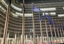 EU will Klimaziele durch Anrechnung von Krediten aufweichen