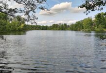 Mehr Nichtschwimmer: Bademeister fürchten Zunahme von Badeunfällen