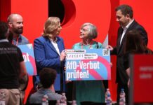 Ex-Verfassungsrichter warnt vor "Pyrrhussieg" bei AfD-Verbot