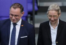 Forsa: AfD weiter auf Rekordniveau