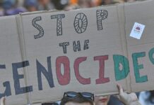 Bundesregierung nimmt UN-Bericht zu Gaza "sehr ernst"