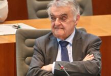 Linke kritisiert Reul-Vorstoß zur Kriminalstatistik