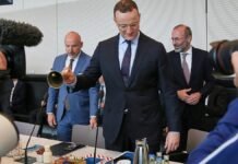 Waffenembargo: Unionsfraktionschefs wollen Gespräch mit Merz