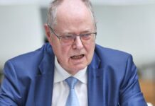 Steinbrück wirbt für umfassende Sozialreformen