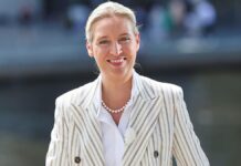 Politbarometer: AfD auf neuem Höchststand