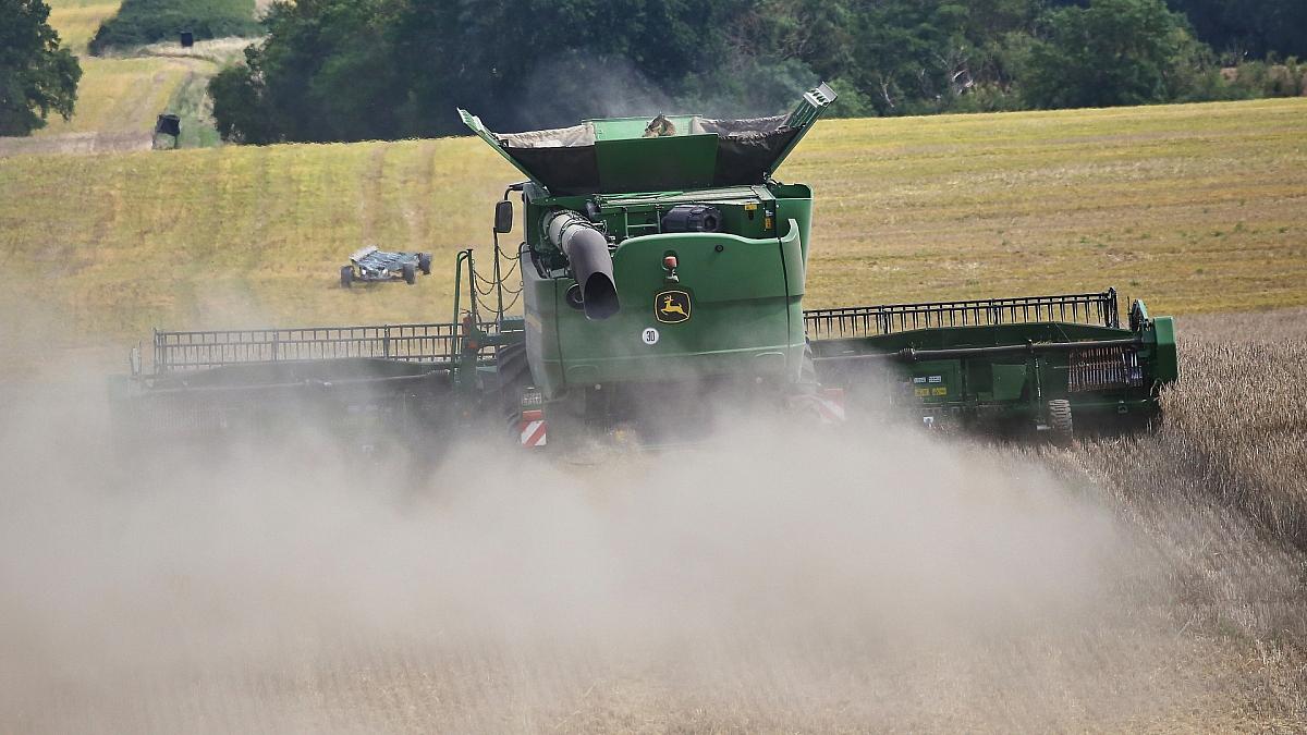 Plastiknutzung in Landwirtschaft ausgeprägter als erwartet