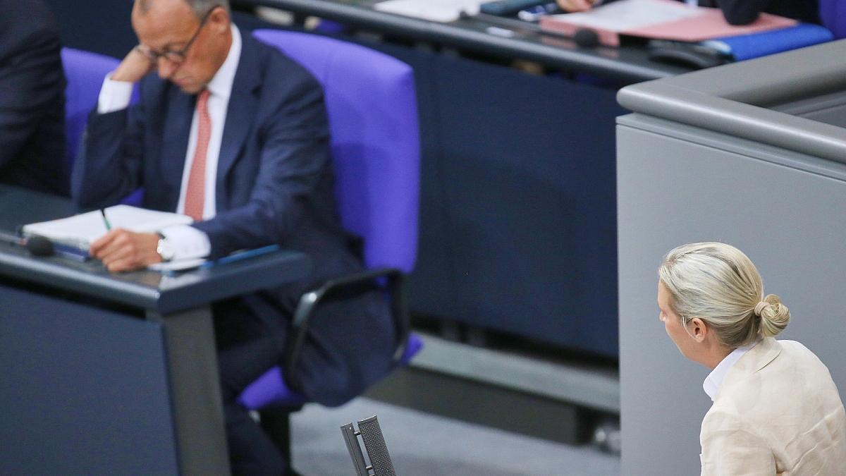 Forsa: AfD hält Rekordniveau - Merz rutscht auf Tiefstwert