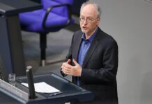 Grüne begrüßen Wahl von Evelyn Palla als Bahnchefin