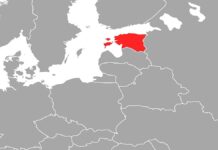 Estland meldet Überflug russischer Kampfjets