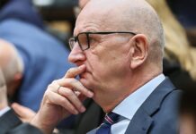 Brandenburg und Thüringen prüfen Folgen für AfDler im Staatsdienst