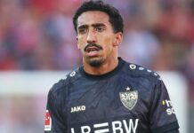 Europa League: Fenerbahce bezwingt VfB Stuttgart Europa League: Fenerbahce bezwingt VfB Stuttgart