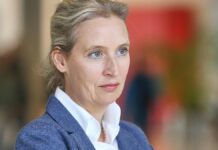 Spionagevorwürfe: Spahn fordert Aufklärung von AfD-Chefin Weidel Spionagevorwürfe: Spahn fordert Aufklärung von AfD-Chefin Weidel