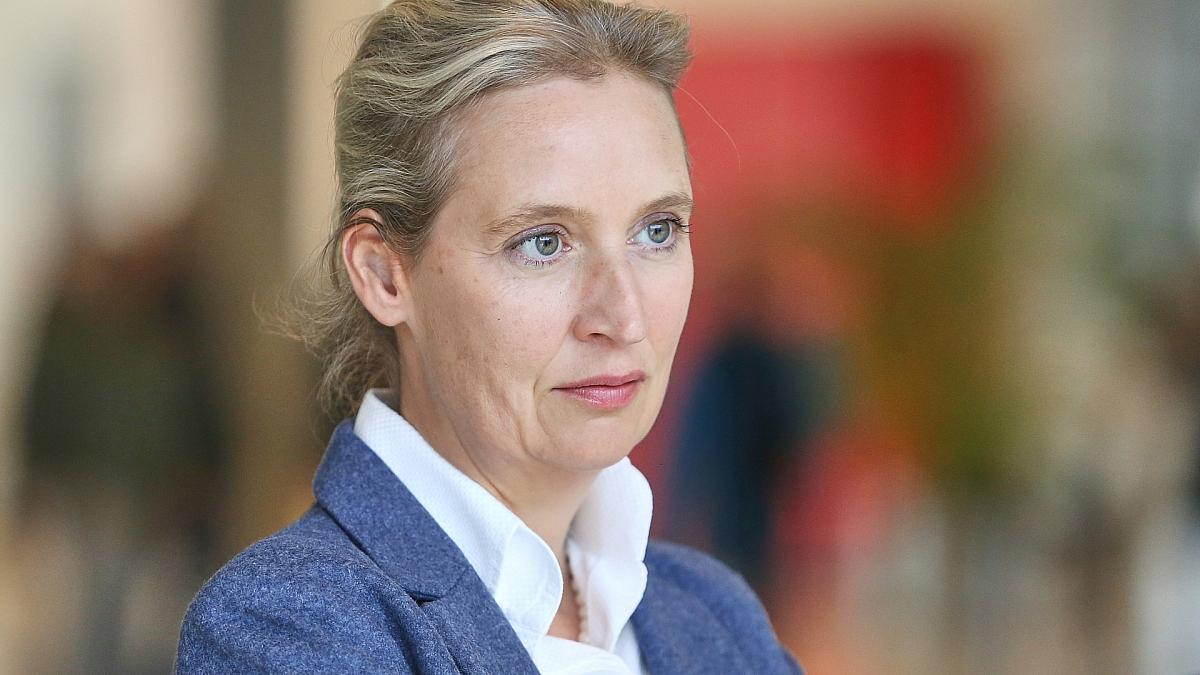 Spionagevorwürfe: Spahn fordert Aufklärung von AfD-Chefin Weidel