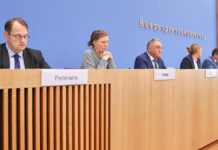 Keine einheitliche Linie zu Volksabstimmungen im Petitionsausschuss