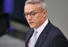 Wildberger nennt Zeitplan für elektronische Fahrzeugzulassung