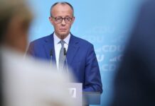 Forsa: AfD weiter vor Union – Merz erholt sich von Tiefstwert