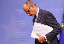 Forsa: AfD bleibt stärkste Kraft – Merz erneut auf neuem Tiefstwert