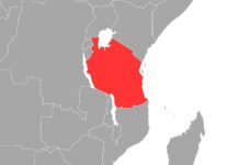 Opposition in Tansania wirft Präsidentin Wahlfälschung vor