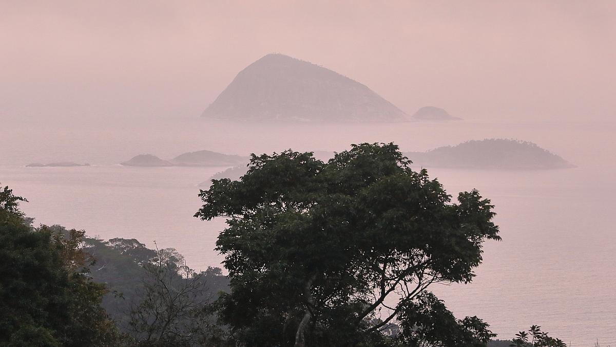 Deutschland stellt eine Milliarde für Tropenfonds bereit