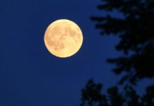 Deutscher soll zum Mond fliegen