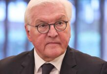 Steinmeier fordert aktiven Widerstand gegen Extremismus