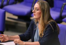 Grüne fordern Familienunternehmer zu Abgrenzung von AfD auf