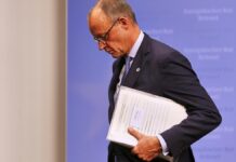 Grünen-Europapolitiker kritisiert Merz vor COP in Belém