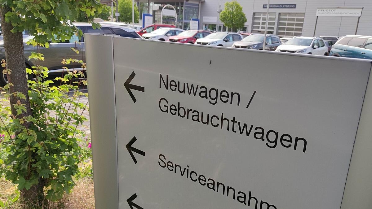 Förderung: Händler erwarten 180.000 zusätzliche E-Auto-Verkäufe