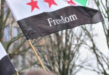 Innenministerium lässt 16.000 syrische Asylfälle überprüfen