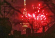 Silvester: Grüne wollen verschärfte Sprengstoffverordnung