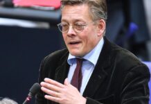 Grünen-Fraktionsvize ruft zur Geschlossenheit im Umgang mit AfD auf