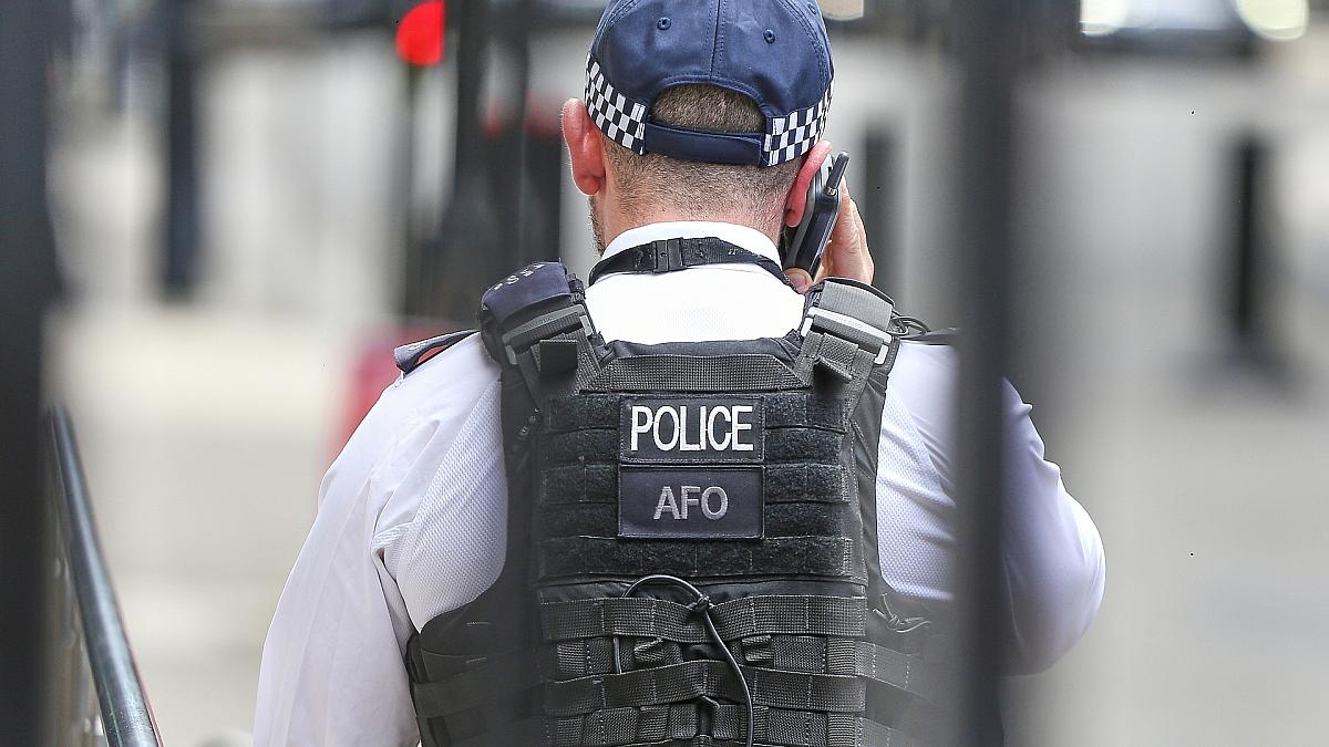 Greta Thunberg bei Demo in London festgenommen