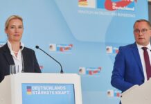 Linnemann kritisiert Radikalisierung der AfD unter Führungsduo