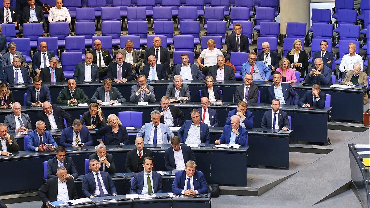 Mercosur-Abkommen spaltet AfD-Bundestagsfraktion