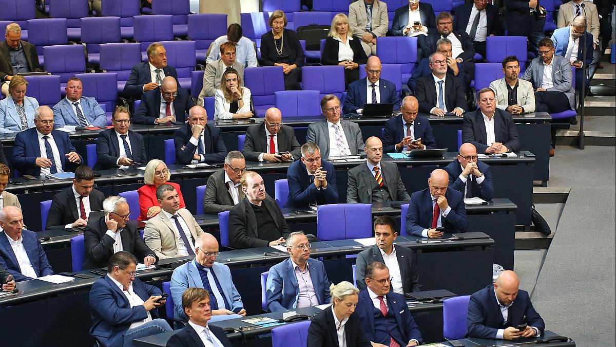 35 Ordnungsrufe für die AfD im Bundestag seit Neuwahl