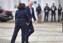 Neuer Großauftrag für Meyer-Werft – Wulff soll Streit schlichten