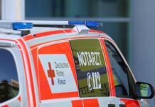 Zwei Tote bei Frontalunfall auf Landstraße in Brandenburg