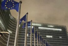 EU-Rat gibt grünes Licht für Mercosur