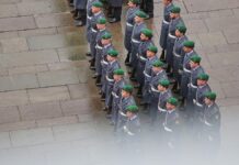 Grönland: Grüne offen für mögliche internationale Militärpräsenz