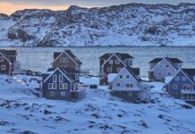 Merz dankt Trump für Abkehr von Grönland-Plänen