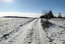 Kälteeinbruch: Verbände erwarten positive Folgen für Landwirtschaft