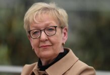 Ex-Nato-Strategin fordert gemeinsame EU-Handlungslinie zu Grönland