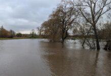 Naturkatastrophenschäden auch 2025 trotz Rückgang sehr hoch